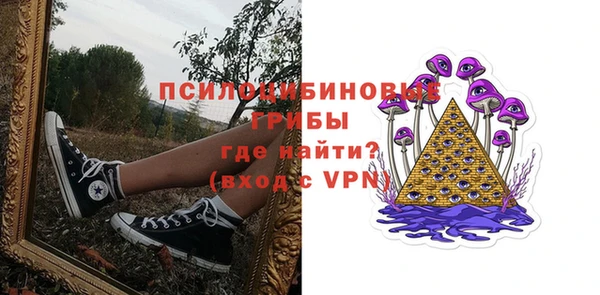 скорость Богородск