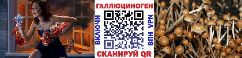 закладка  Красновишерск  Псилоцибиновые грибы Magic Shrooms 